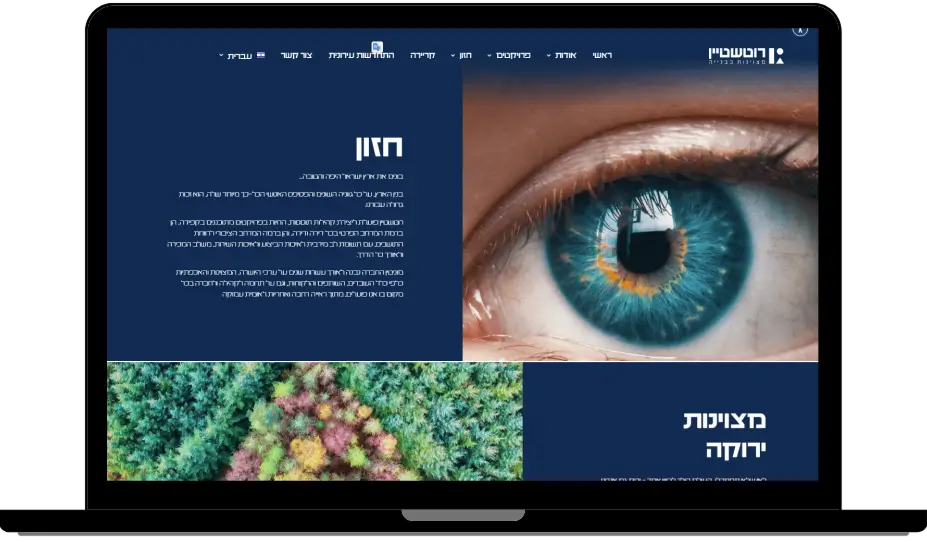 fully custom wordpress website